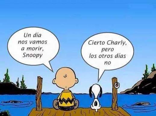 sin contexto Albacete BP 🍻🍺🥂🍸🥃🍹🍷 tweet media