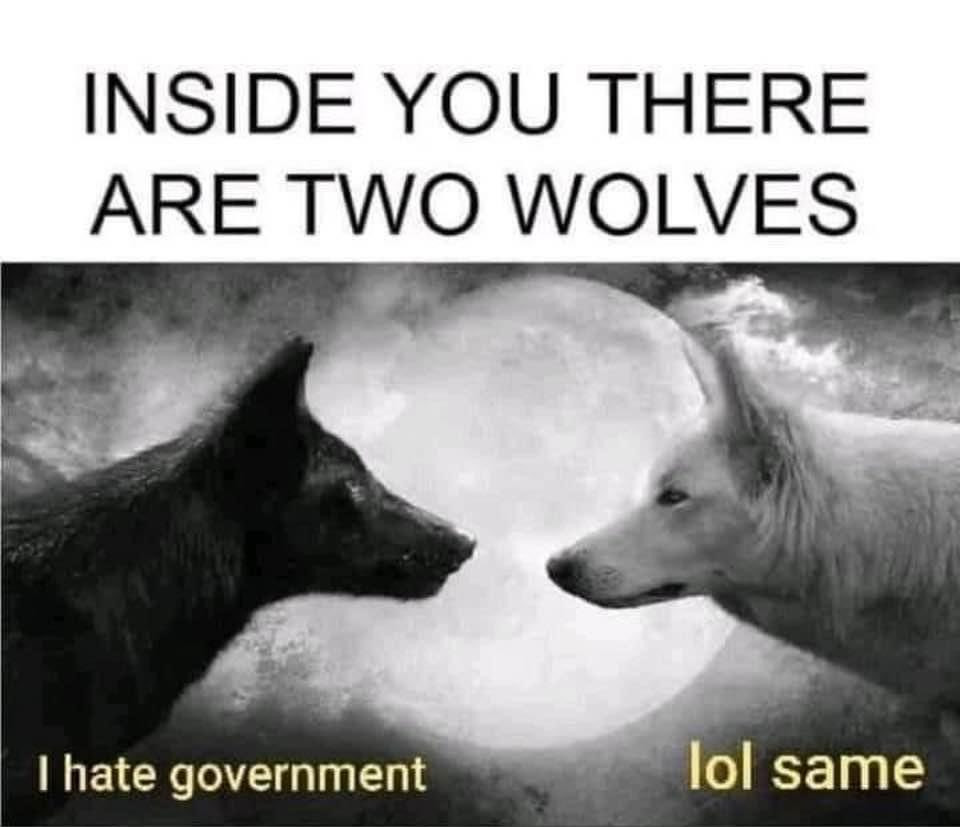 rabbitholebot tweet media