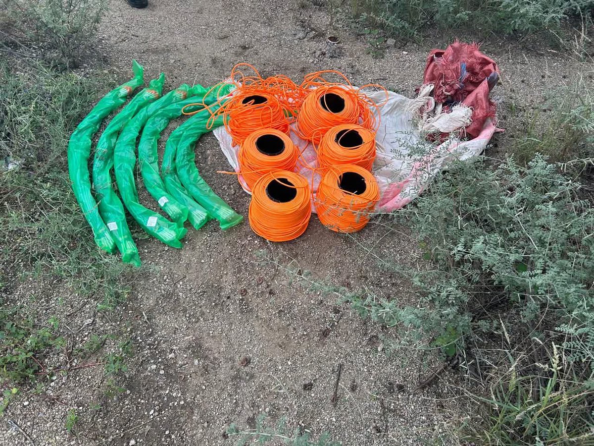 Sihle Mavuso tweet media