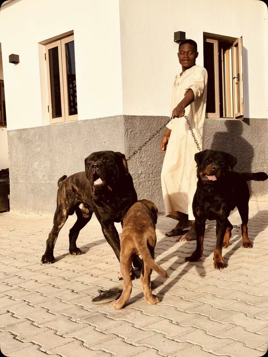 GodWyn🏅 tweet media