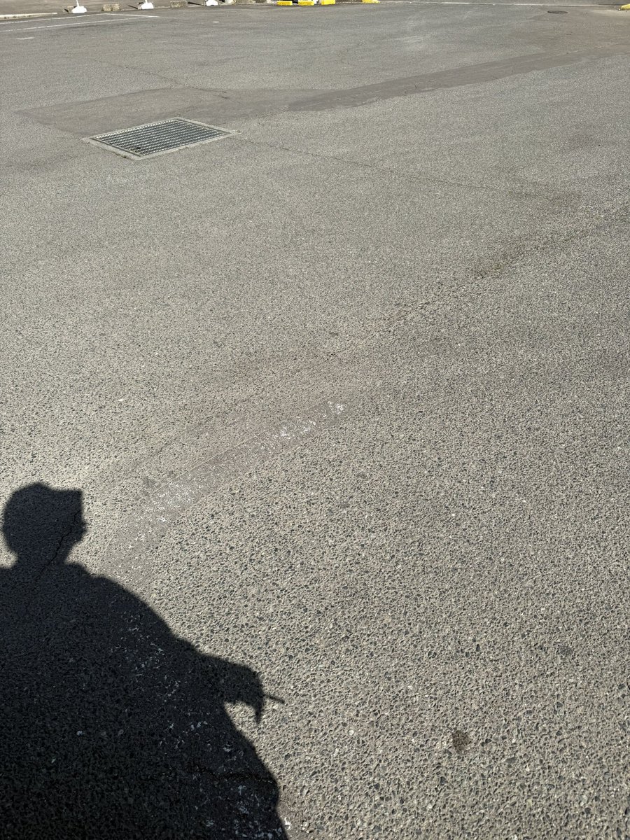 ロズワール VRchat tweet media