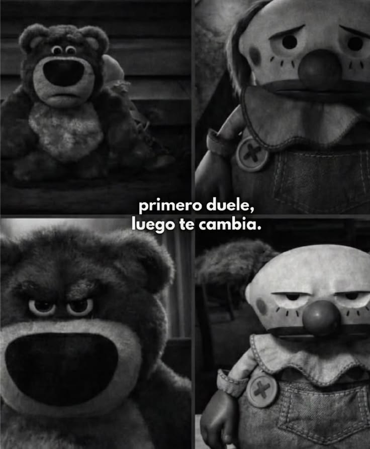Escrito Ideal (@escrito_ideal) on Twitter photo 