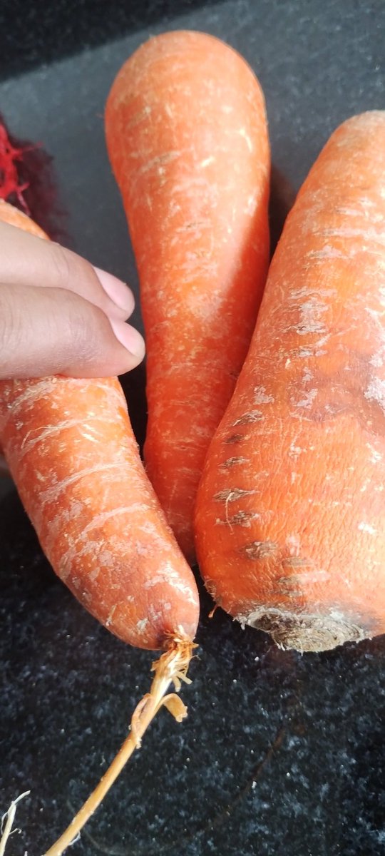 premosho23's tweet photo. @JioMart_Support @JioMart 
Pathetic experience after buying vegetables from jiomart recieved expired,waste non consumable 
Carrot received expired and sprouts are very old and fungus on them. No return option. https://t.co/UxSxNXCC2l