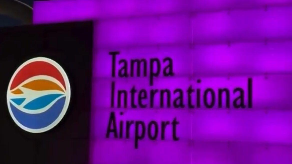 tan into the sun⁷ tweet media