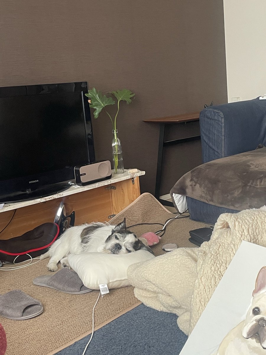 ホイさんとひろき先生（HOISAN-ART） tweet media