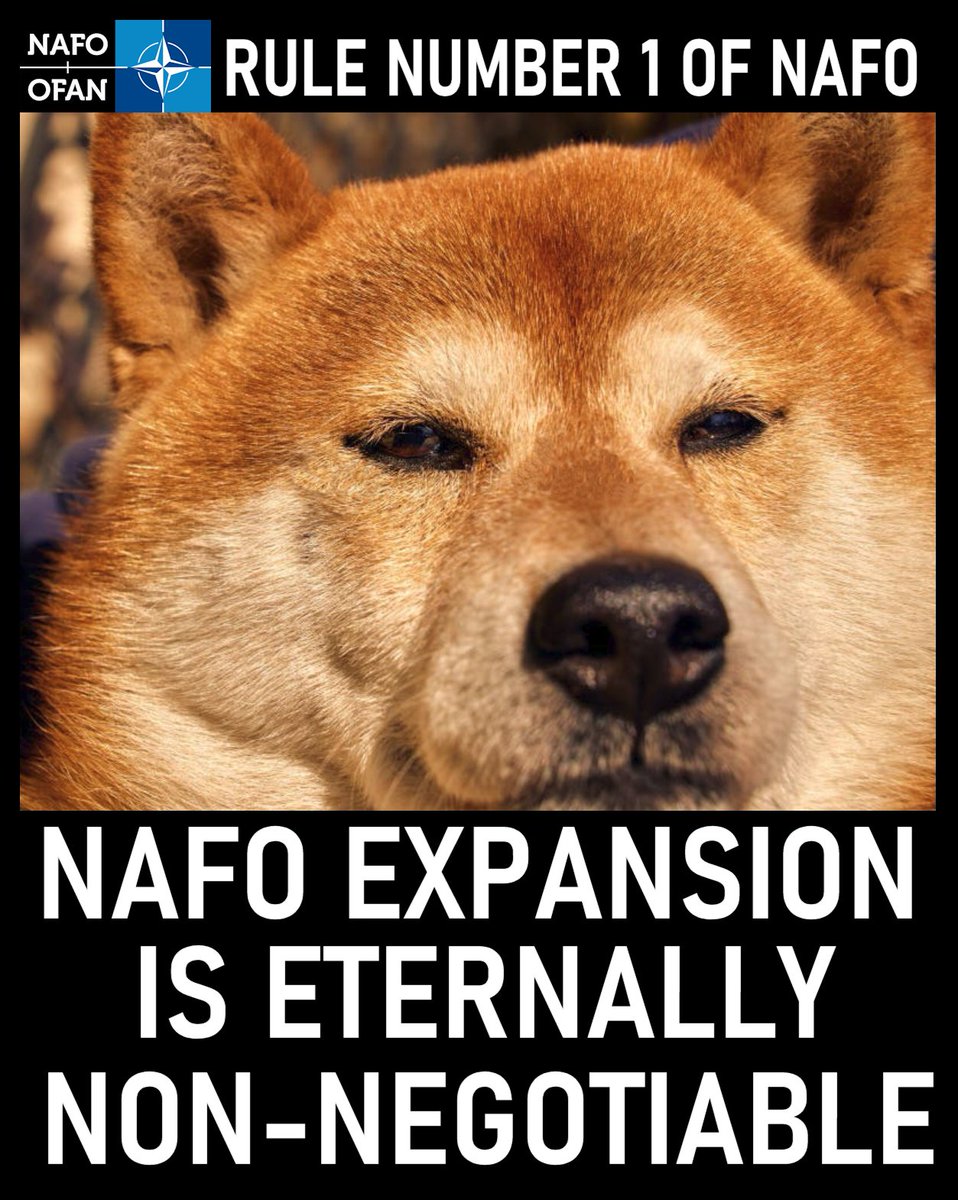 Phillipson Institute tweet media