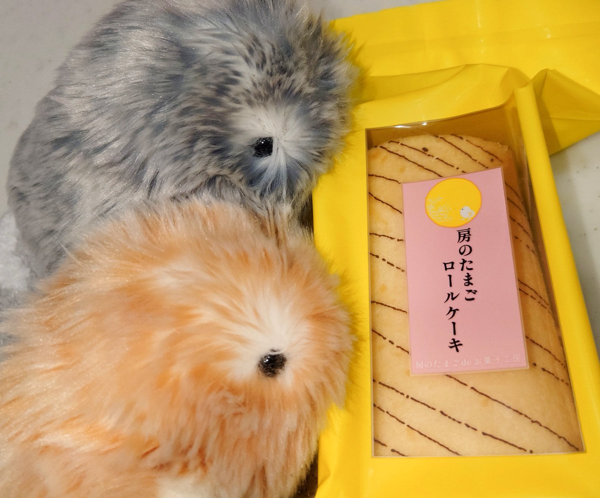 今日のおやつはロールケーキ✨️