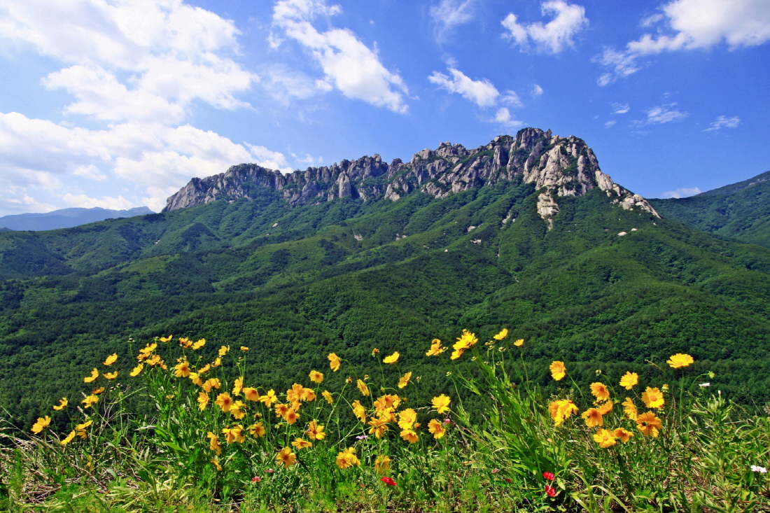 근데 울산바위 사진보면 약간 잔디위에 둉. 이렇게 있어서 왜 그런 설화 생겼는지 약간 이해감