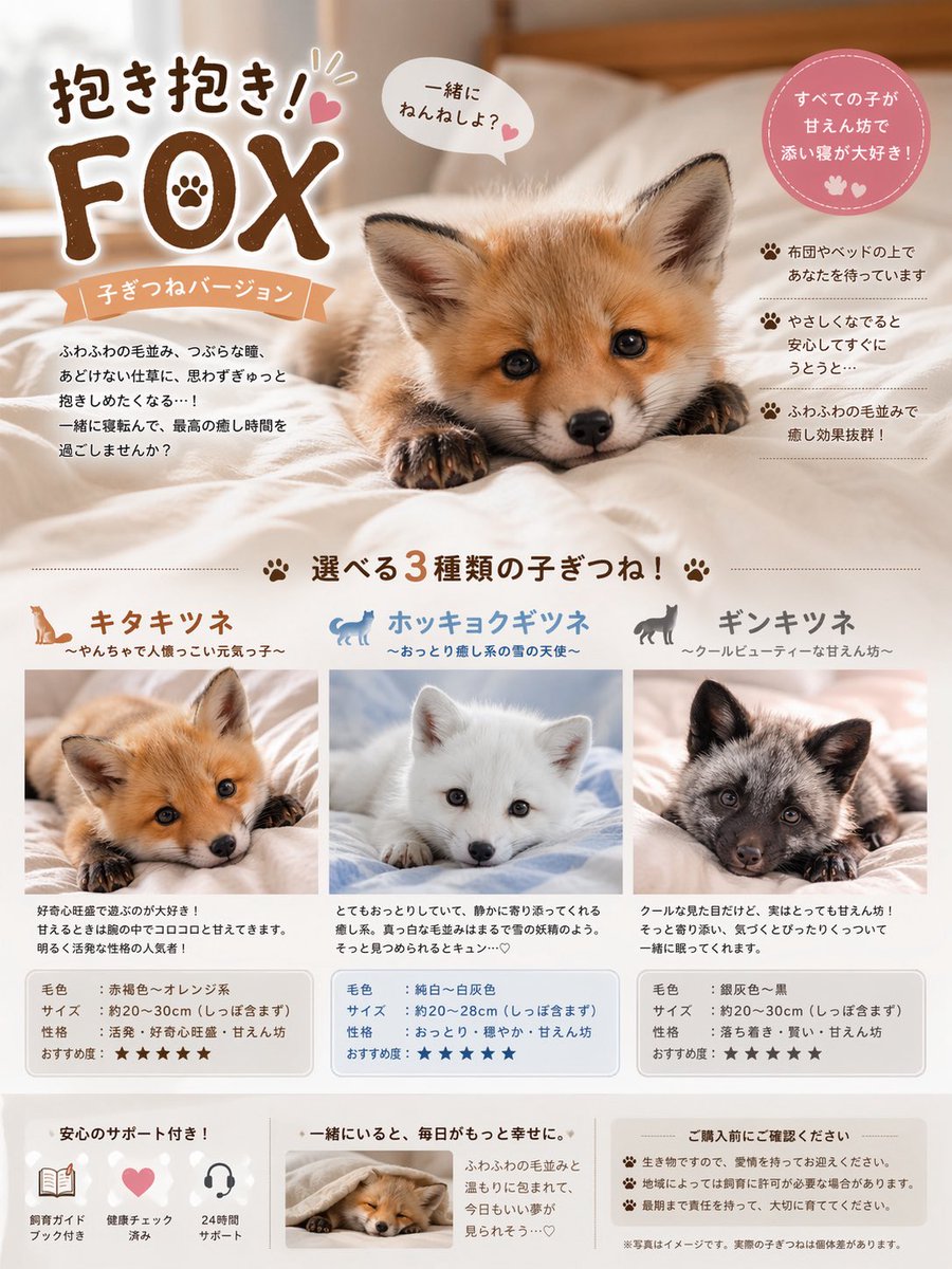 GPTさんの画像生成＆文字生成能力がアプデされたみたいなので架空のカタログ作っちゃった…ワイの夢がもりもりに詰まってる…かわいいすぎる😭💕