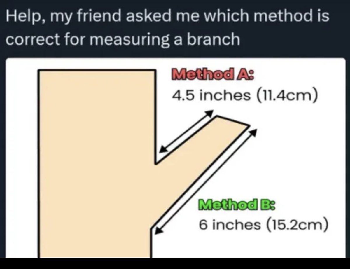 Memes_point tweet media