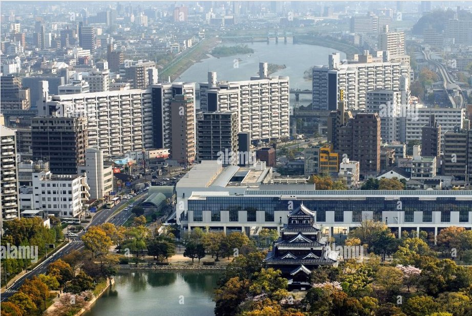 Vertumne 🌞🐝🇪🇺 tweet media