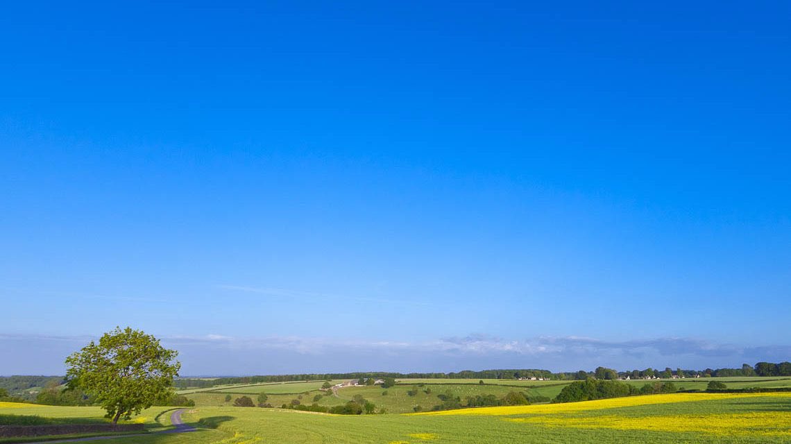 Ist euch aufgefallen, wie leer der Himmel gerade ist? Tiefblau. Klar. Fast unberührt.

Und die Flugzeuge?
Keine endlosen Schleier mehr – nur noch kurze, saubere Kondensstreifen, die schnell wieder verschwinden.

Schon interessant, wie sehr sich das Bild am Himmel verändern kann.