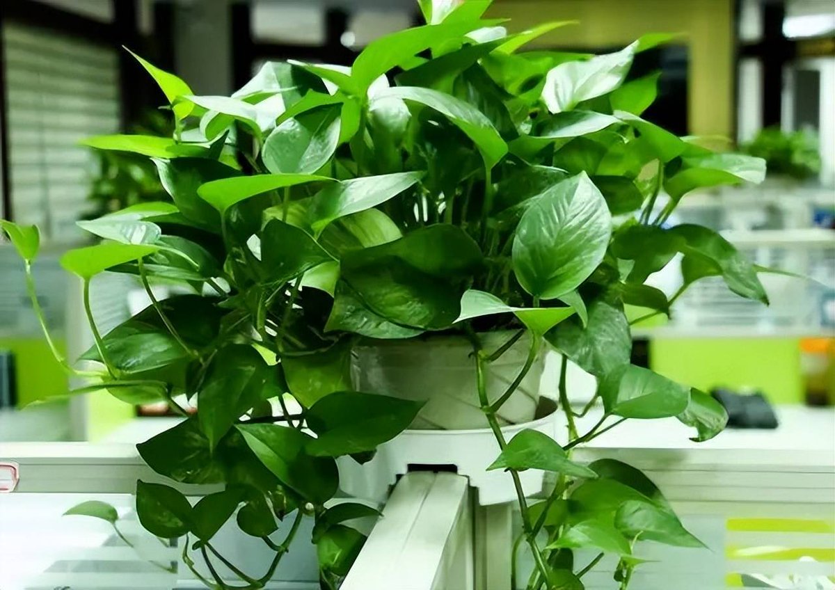 Tony Maddox tweet media