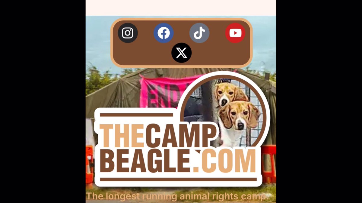 hellsbellsus's tweet image. Camp Beagle supporters are walking from Huntingdon today to Parliament Square for the e petition debate in Parliament on Monday 27 April. Please pop outside Monday to see them and join the debate inside #stopanimaltesting #righttoprotest #thecampbeagle
