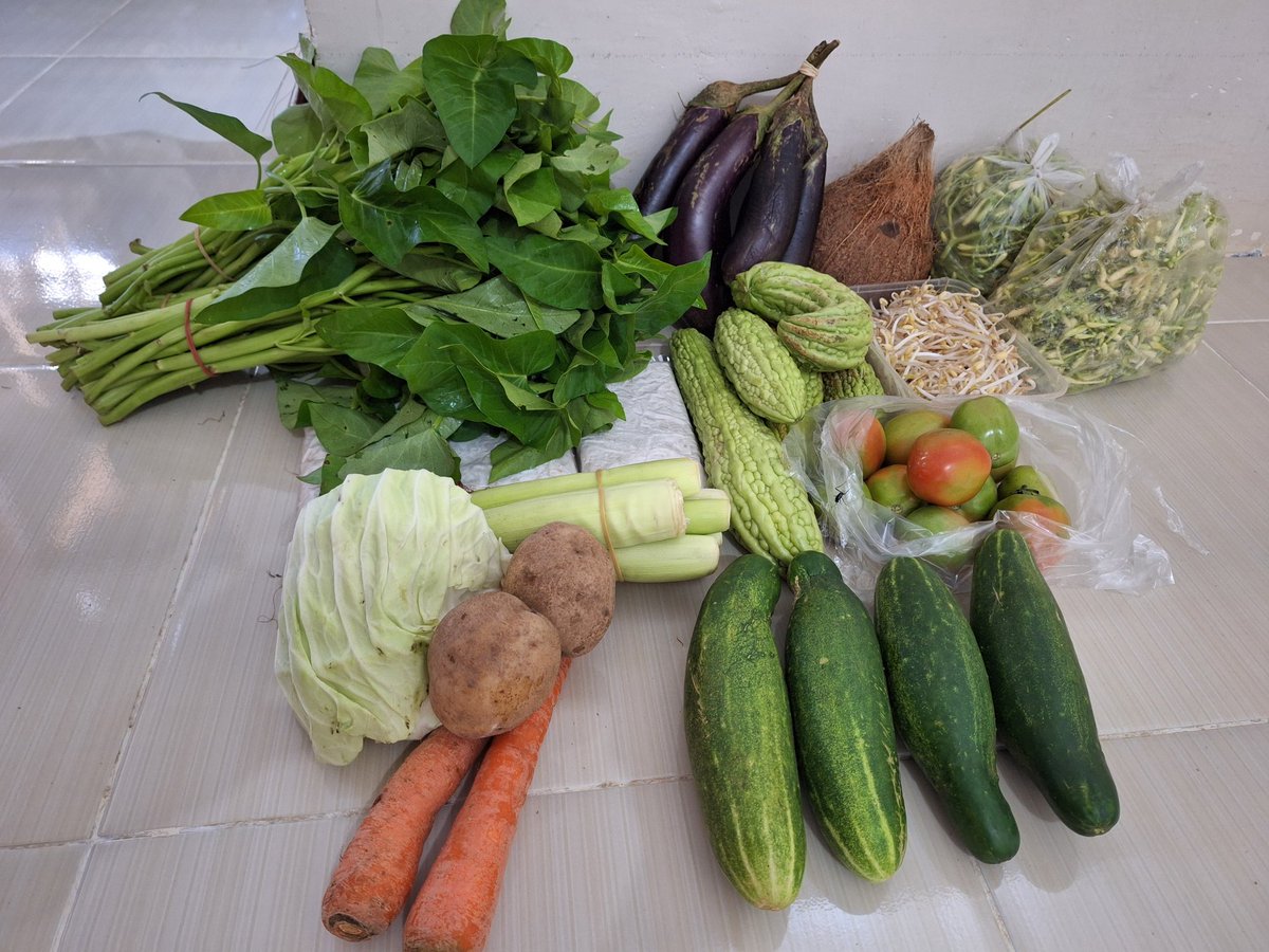 yyegtm's tweet photo. Belanja sayur hari ini untuk 1 minggu ke depan.. tempe nyelip di bawah kangkung. https://t.co/ekVZSMFQPq