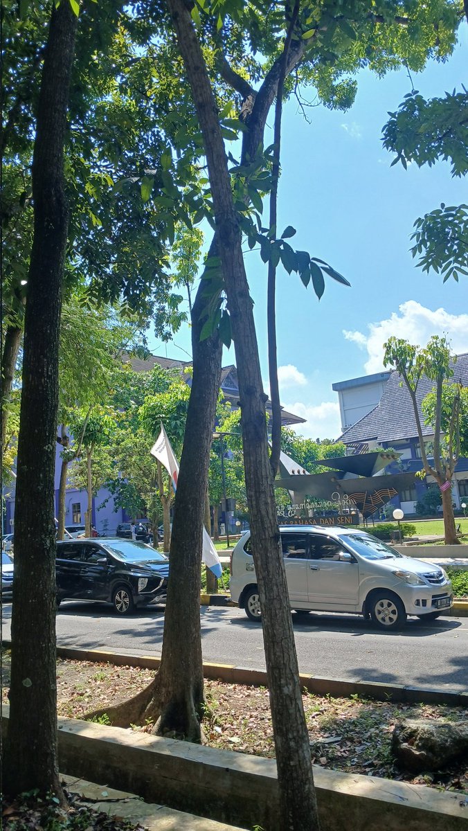 ken²⁶ lolos jadi mahesa tweet media