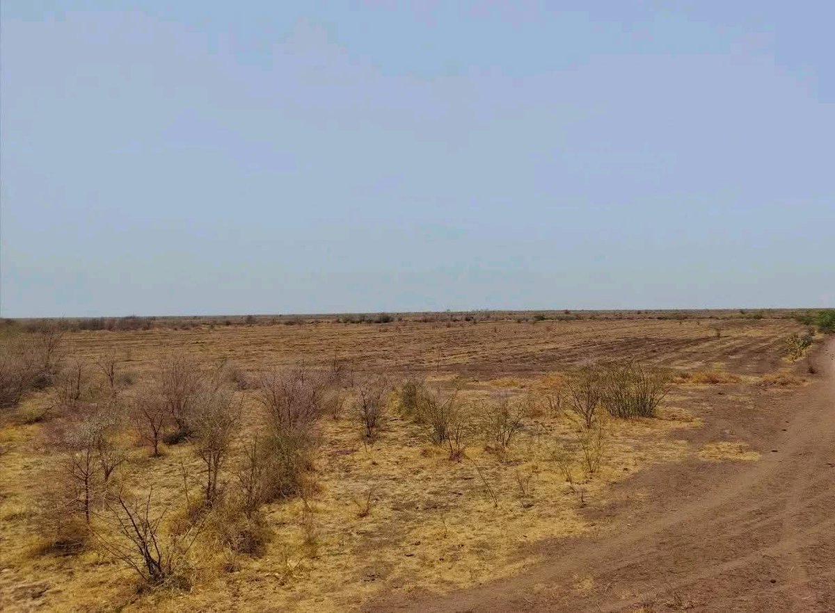 Gedo Alumda tweet media