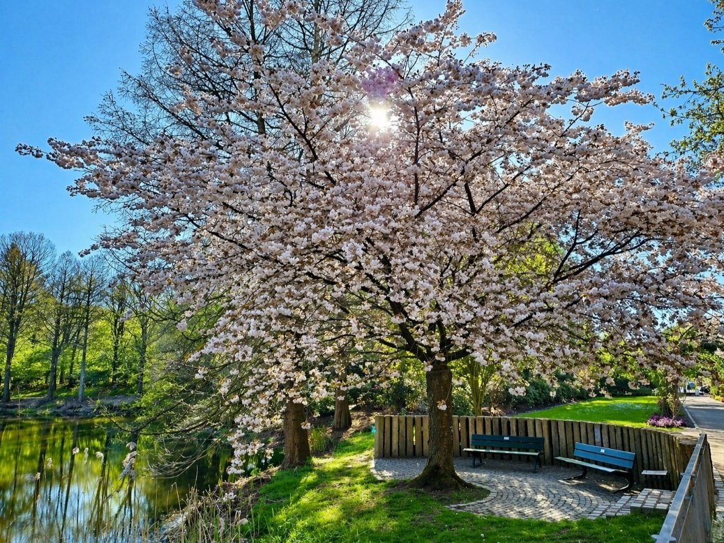 3.Göz👁️ tweet media