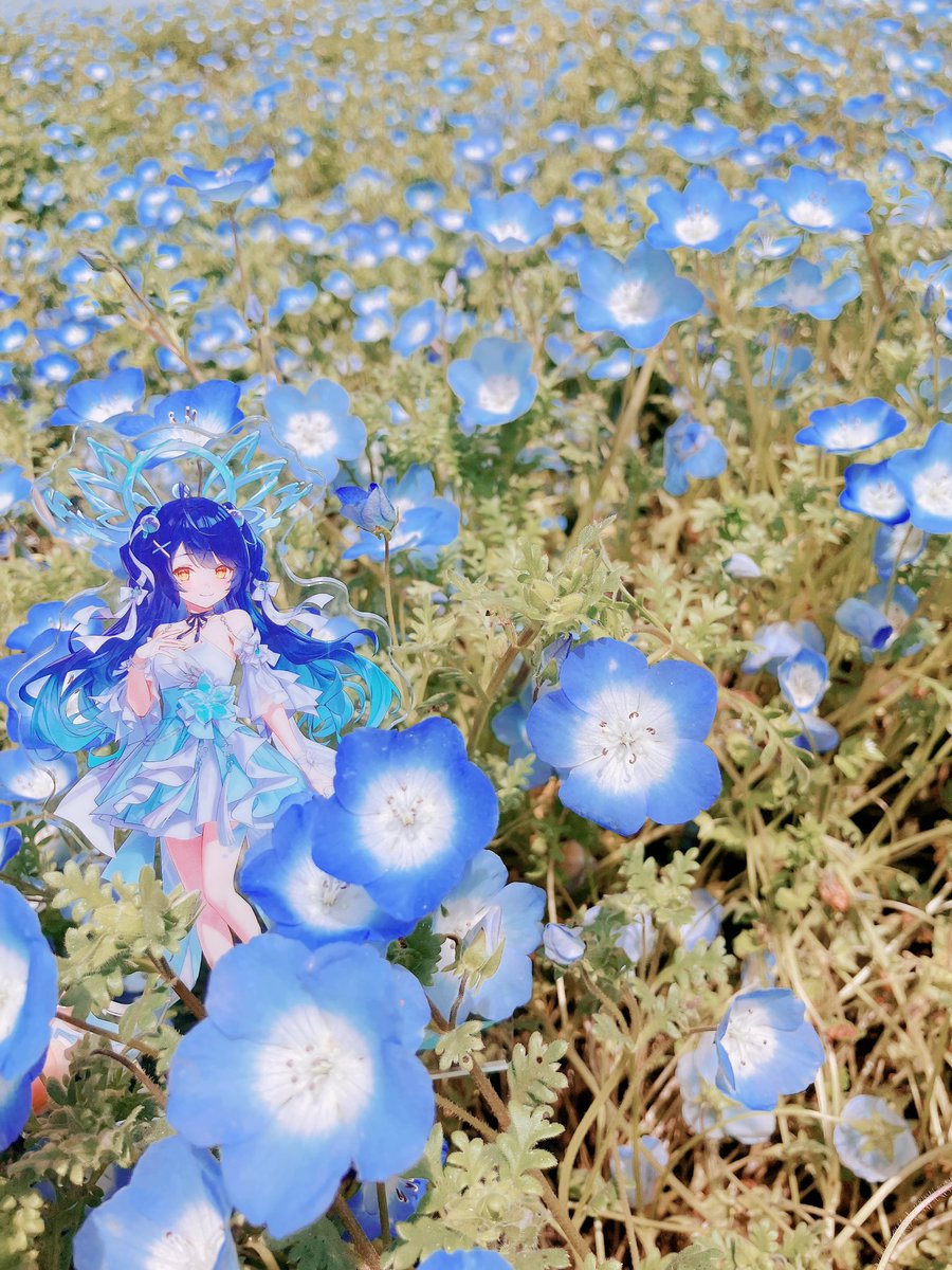 ゆず🎐 𓈒𓏸 tweet media