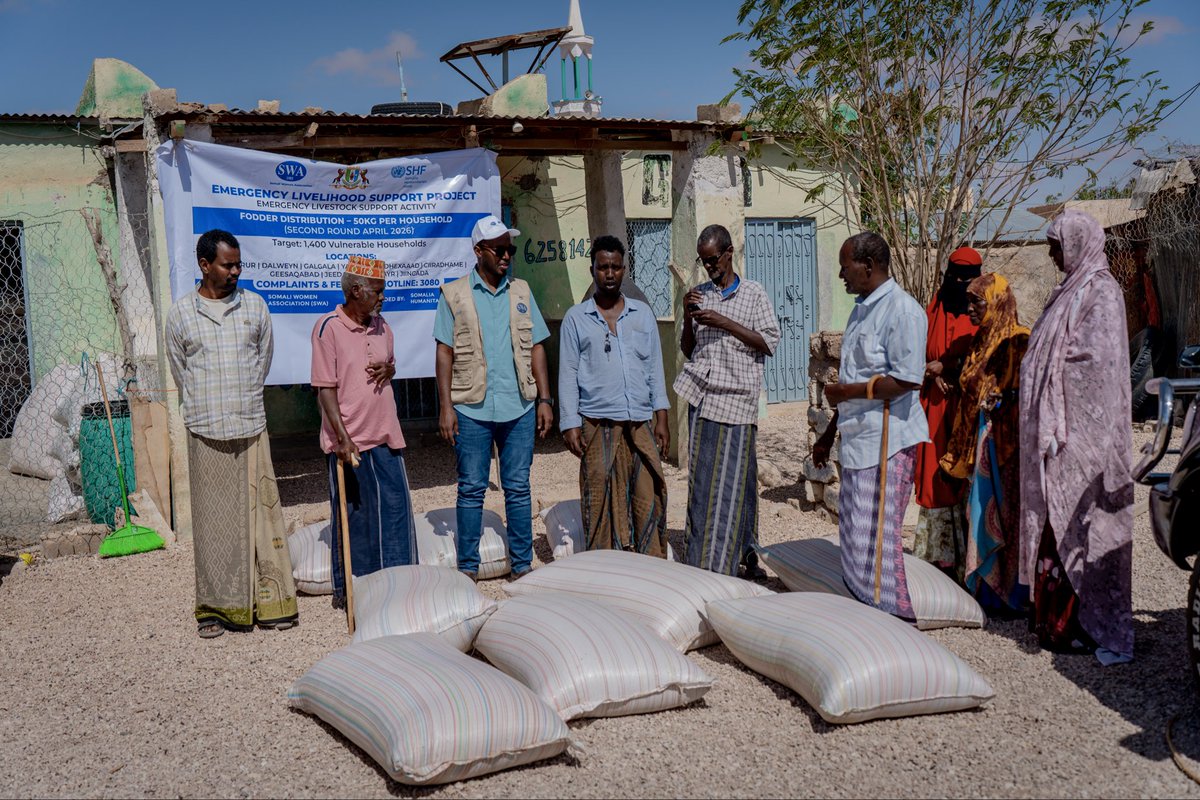 swango_1993's tweet photo. In April 2026, we successfully completed the final round of livestock fodder distribution, reaching 1,400 beneficiaries across 10 villages in Bosaso District: Af-Urur, Galgalato, Jiingada, Kalabayr, Yalho, Dalweyn, Ciiradhame, Geesaqabad, Kobdhexaad, and Jeedaal. #HumanitarianSupport #Livelihoods #Bosaso #BariRegion #Somalia
 #OCHA #SWA