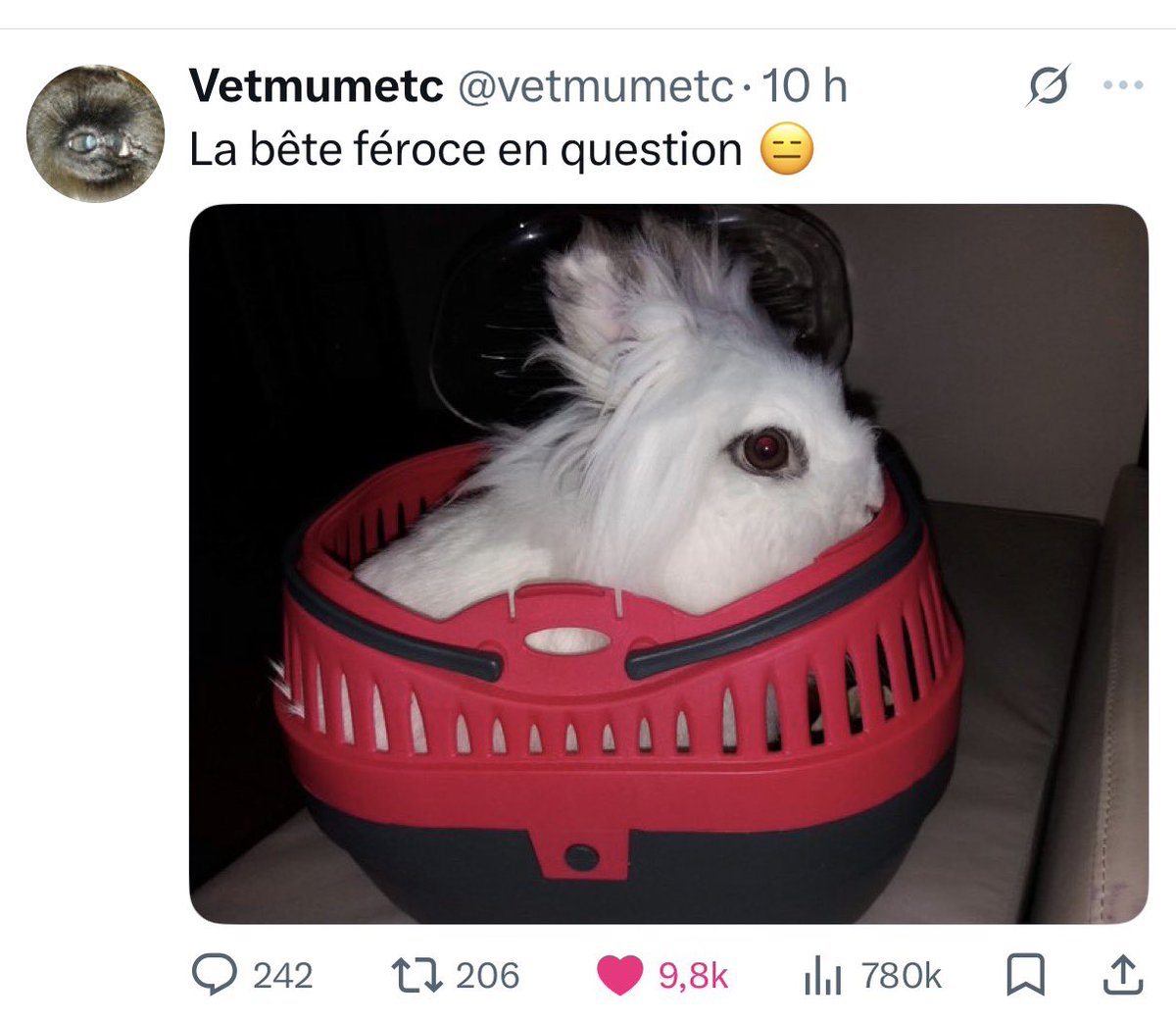 𝗗𝗮𝗺𝗲 𝗣𝗶𝗻𝗽𝗶𝗻 🐰 tweet media