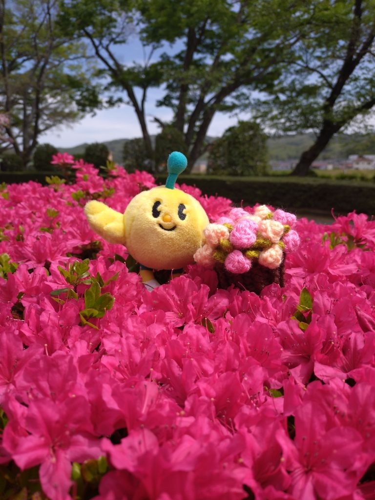 FromKibitan's tweet image. お花畑の中でひと休み！
#福島県　#Fukushima #Japan #キビタン  #福島県公式キャラクター