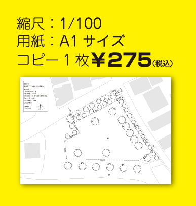 lemonb1f tweet picture