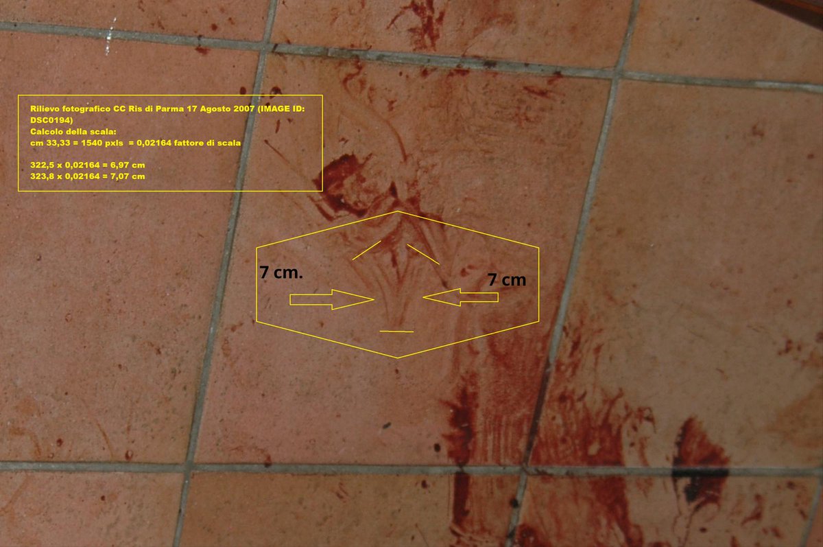 Luigi Grimaldi 🏊 tweet media