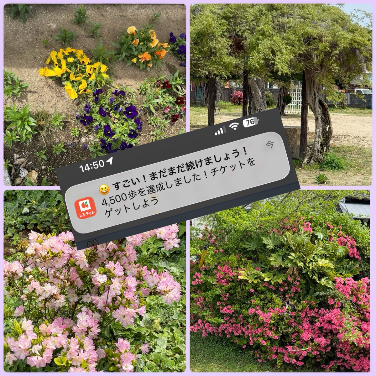 みゅう🫧⏦ﾟ tweet media