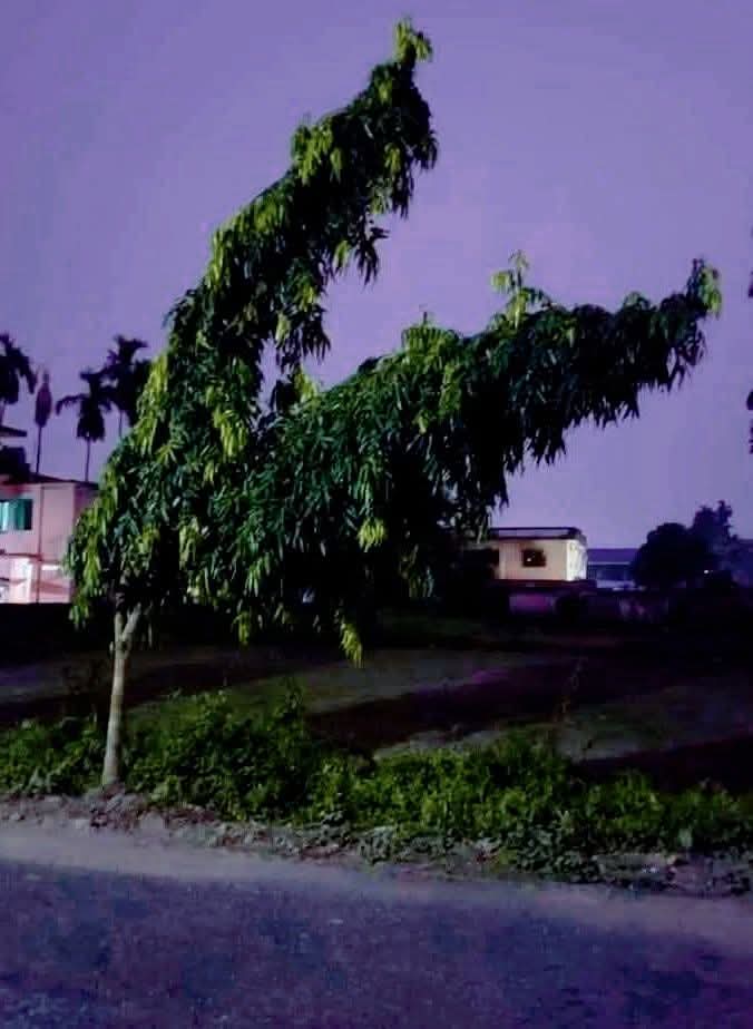 Khurapati Balak tweet media