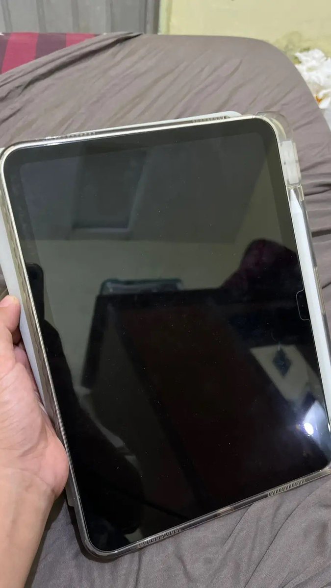 🤍🦭🐳🪼 tweet media