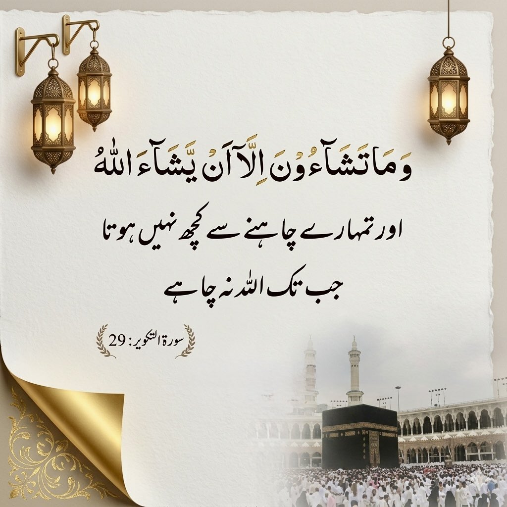 Asma Barjees tweet media