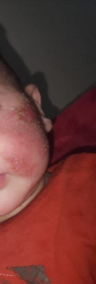 fares . sh 🇵🇸 tweet media