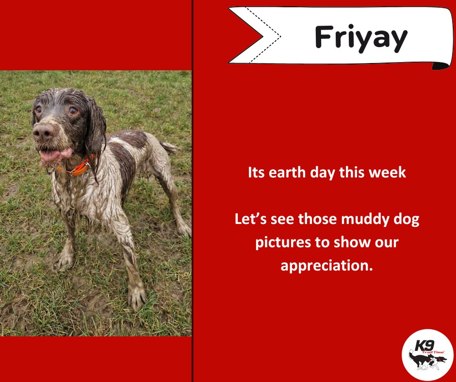 It's Friyay

It was earth day this week

Share you photos of your dogs enjoying their time on earth

The dirtier, the better 

#k9trailtimeeeee#activedogsarehappydogss#weekenddogss#canicrosss#runningwithdogss #funonfriday#canicrossdog