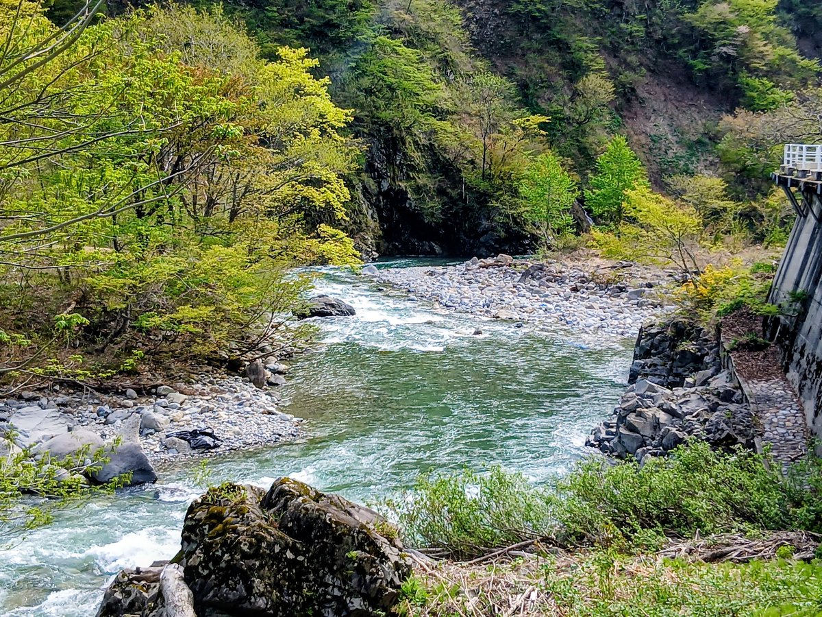 白山白川郷ホワイトロード【公式】 tweet media