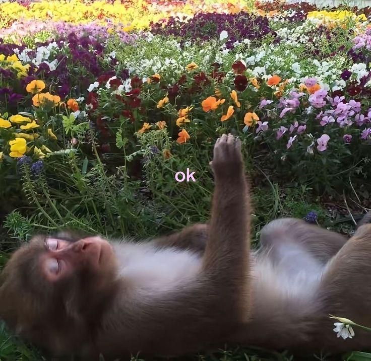 Dante (@imydante) on Twitter photo 