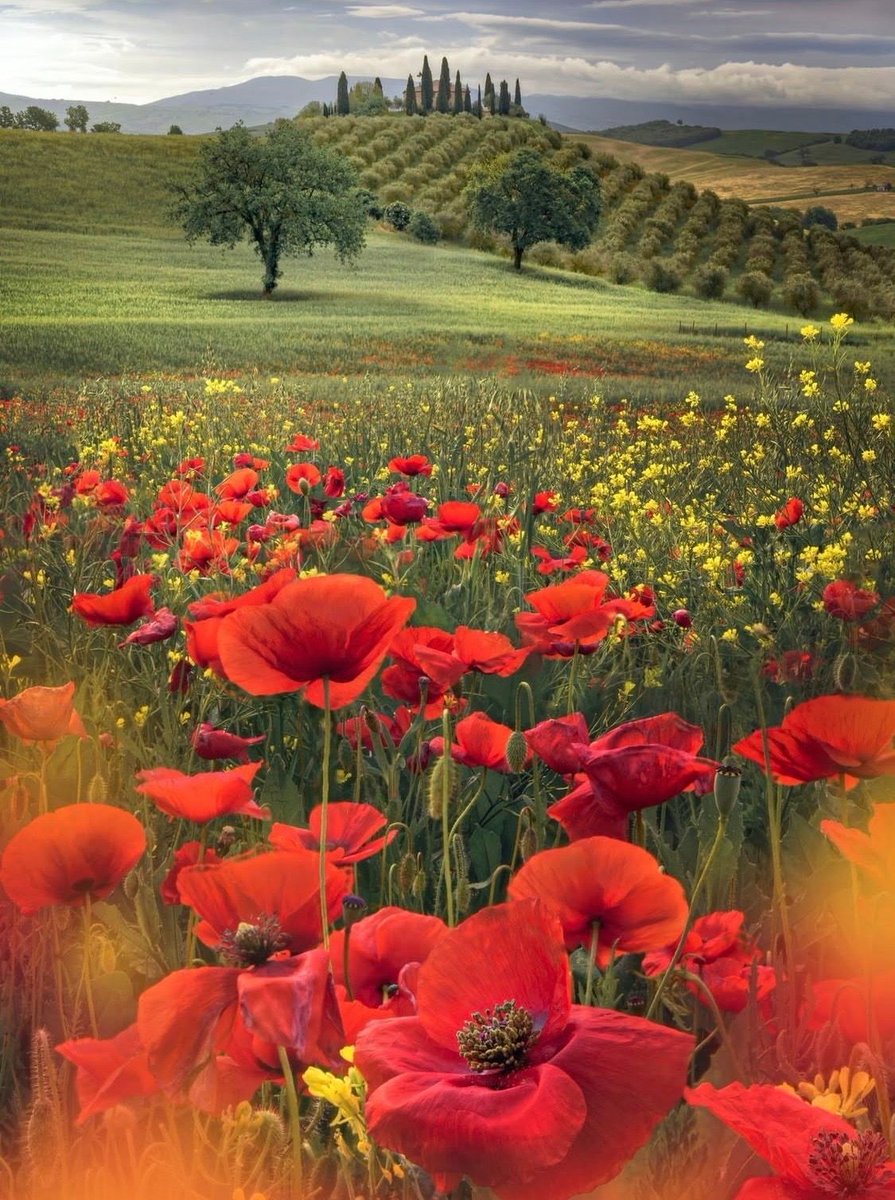 Happy Friday everyone 
Wishing you a great day 
And a wonderful weekend ❤️