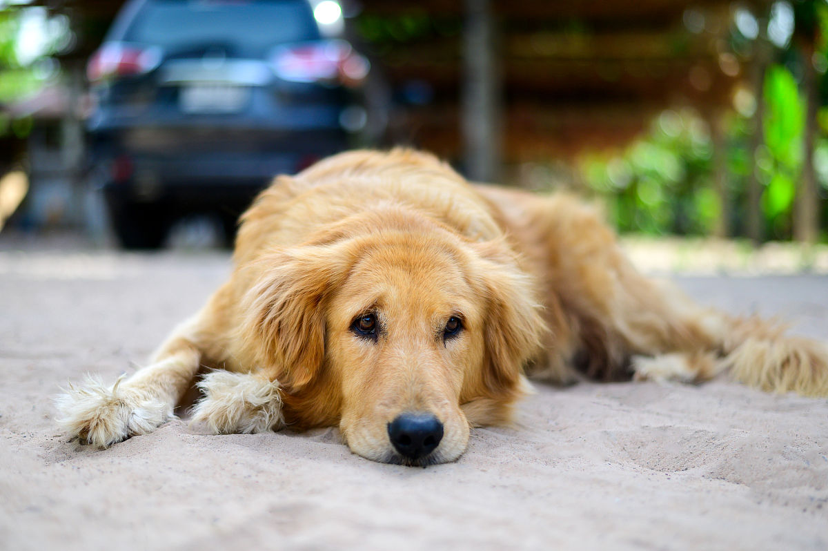 Carolina Souza tweet media