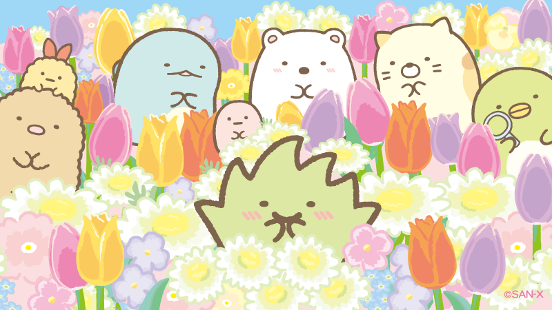 すみっコぐらし【公式】 tweet media