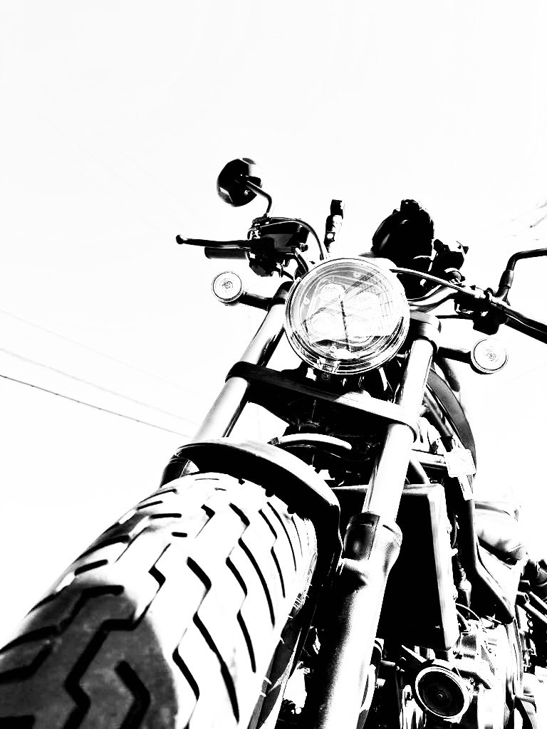 しぃ(shiii) tweet media