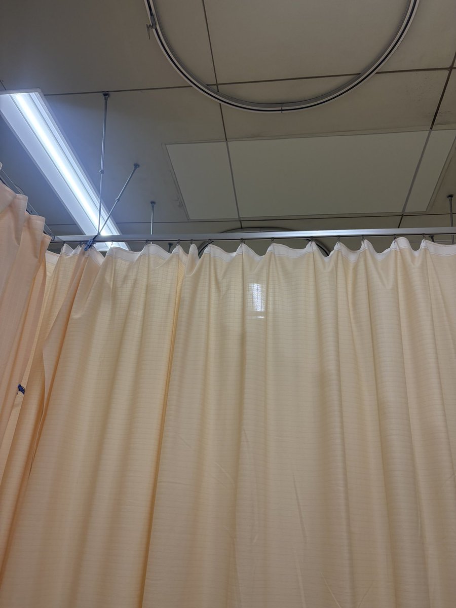 まさと🧪🍵🫧🌹🦋 tweet media