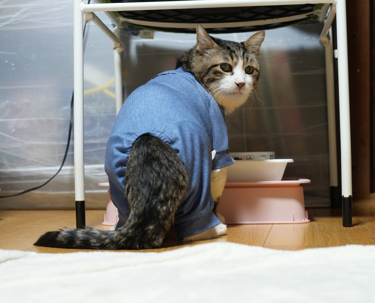 あぶさん tweet media