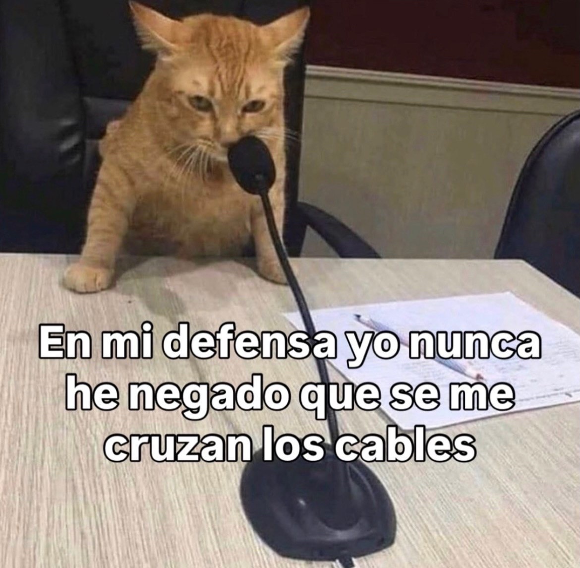 Mundo de Bigotes tweet media