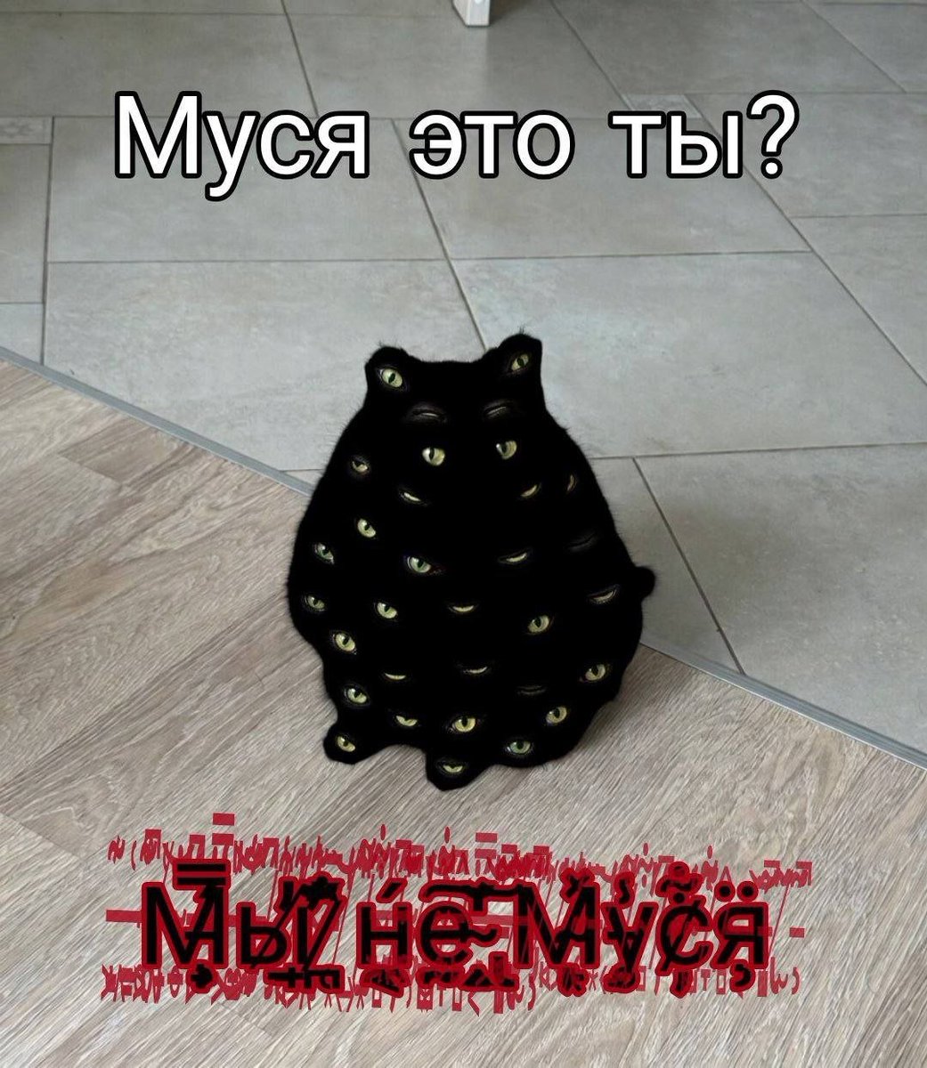 Спихопат с электрогитарой🐍 (@llafdrad4xcxk3e) on Twitter photo 