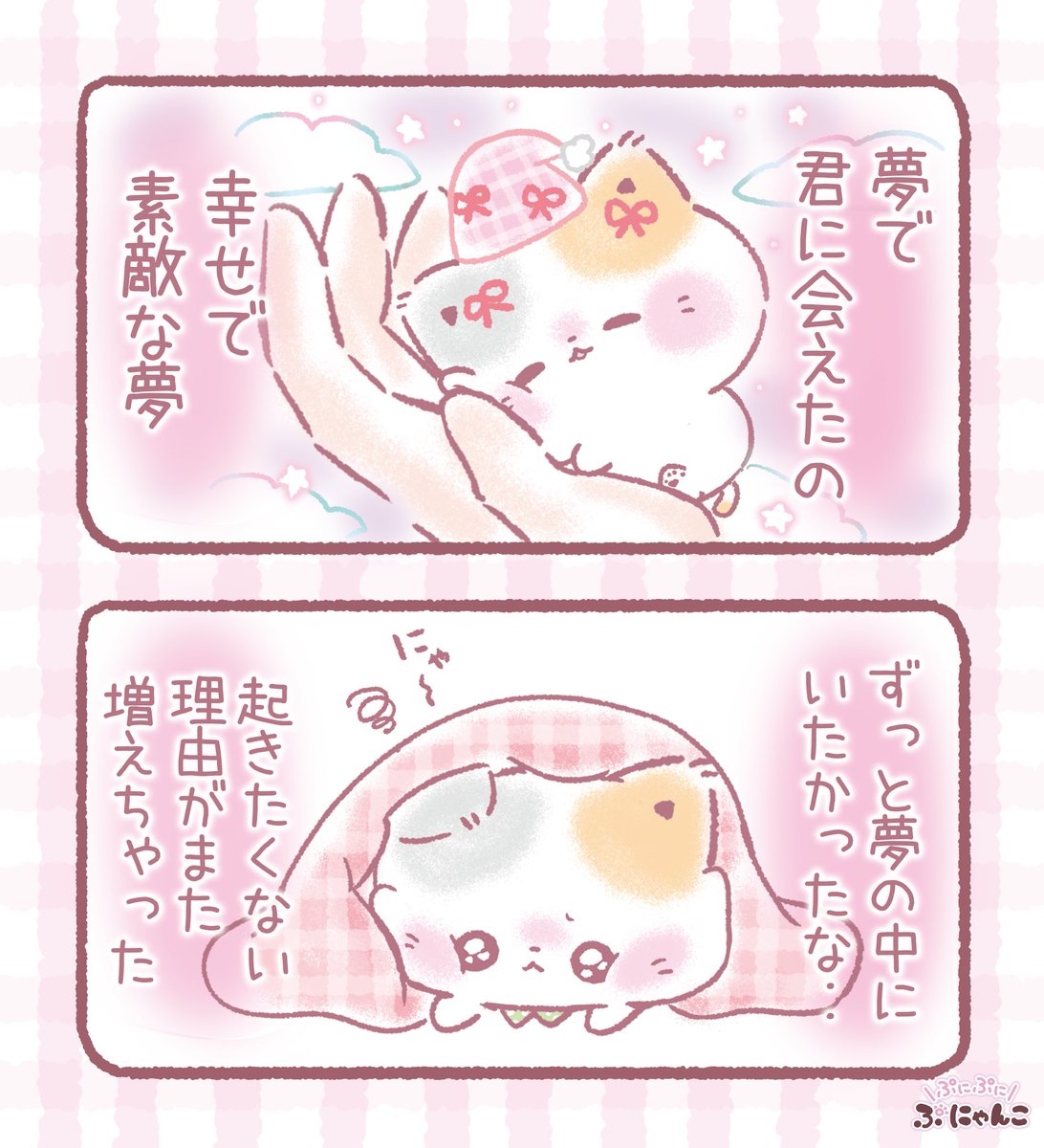 ぷにゃんこ🐾｜TOKUDOME🌼 tweet media