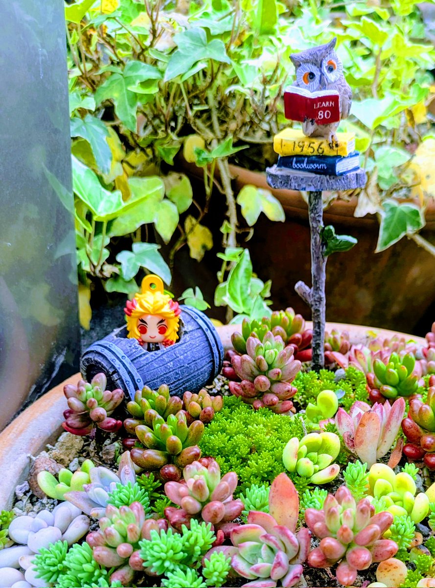 いもりこ tweet media