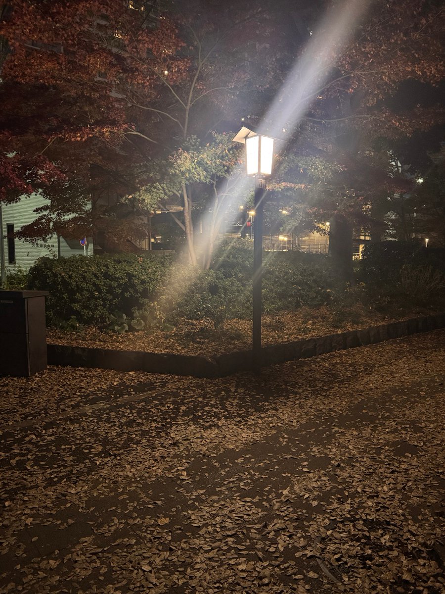 riad ahmed tweet media