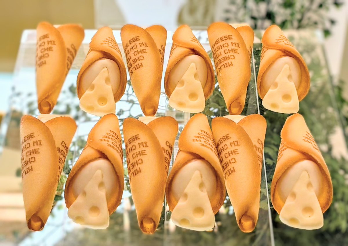 広島初登場✨SNOW CHEESEのスノーミルクチーズ おやつに、どうぞ