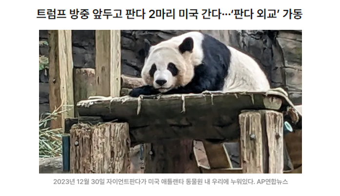 aniko_welfare's tweet photo. "(중국야생동물보호협회는) 지난해 애틀랜타 동물원과 체결한 협약에 따라 10년간 이 동물원에 청두 자이언트판다기지 소속 판다 ‘핑핑’과 ‘푸솽’을 보낼 예정이라고 밝혔다."(기사읽기: https://t.co/e4ZdE0N4rD) https://t.co/fzT9hlRcbX