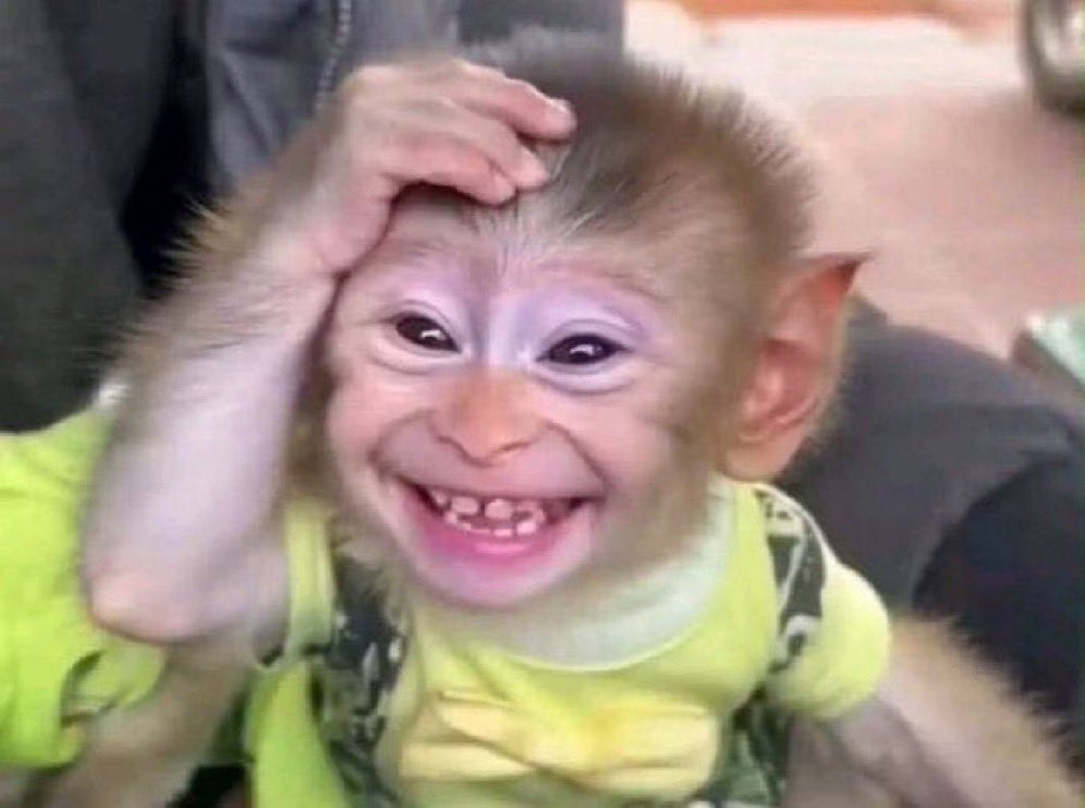 HardCore BAT 🦇 tweet media